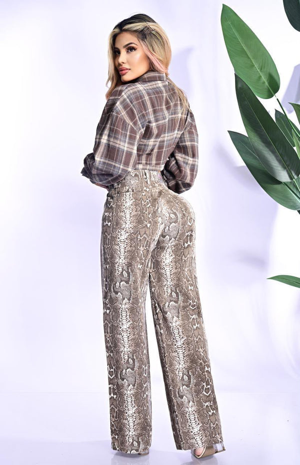 Palazzo Python